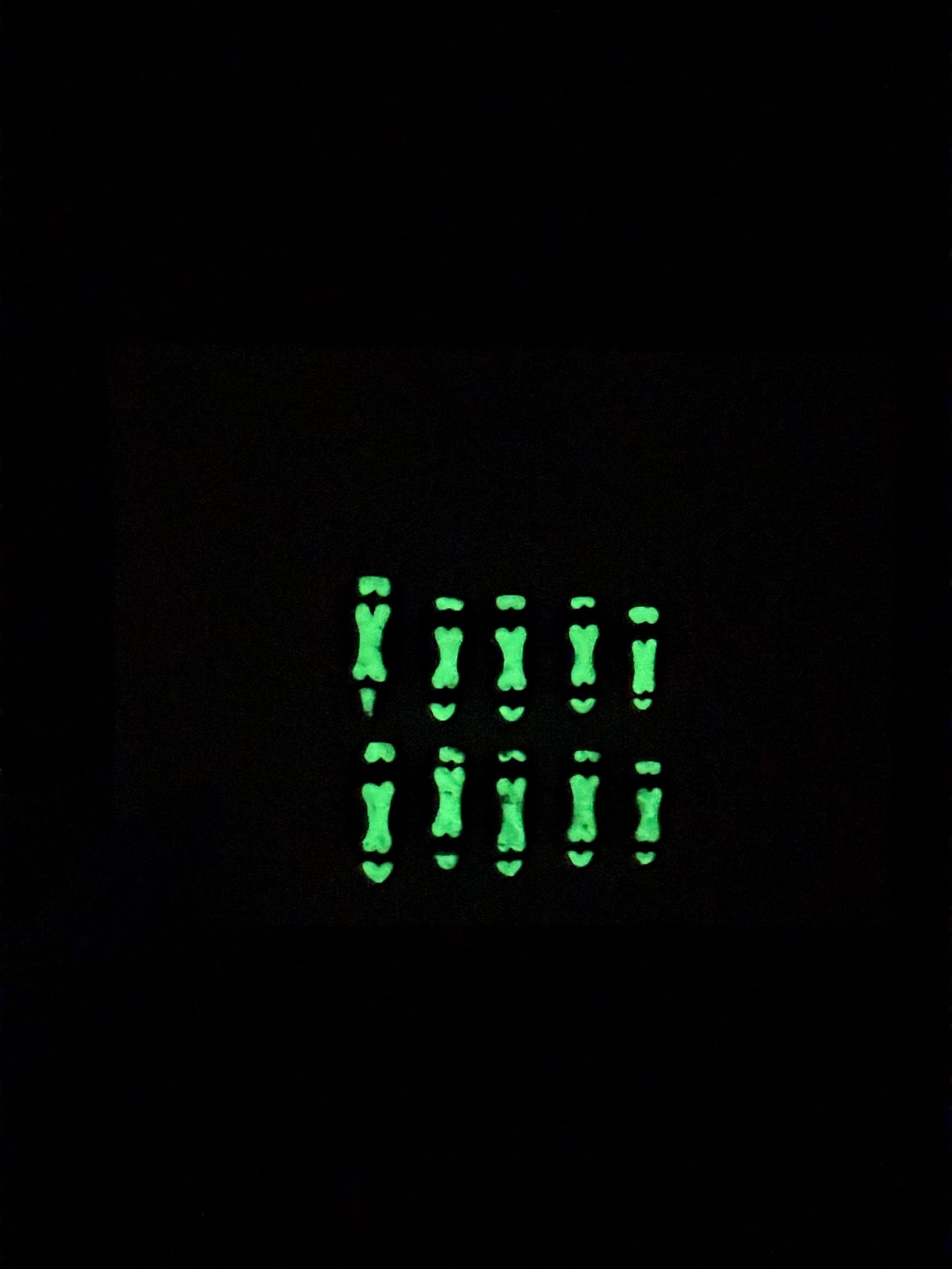 Glow in the dark bones