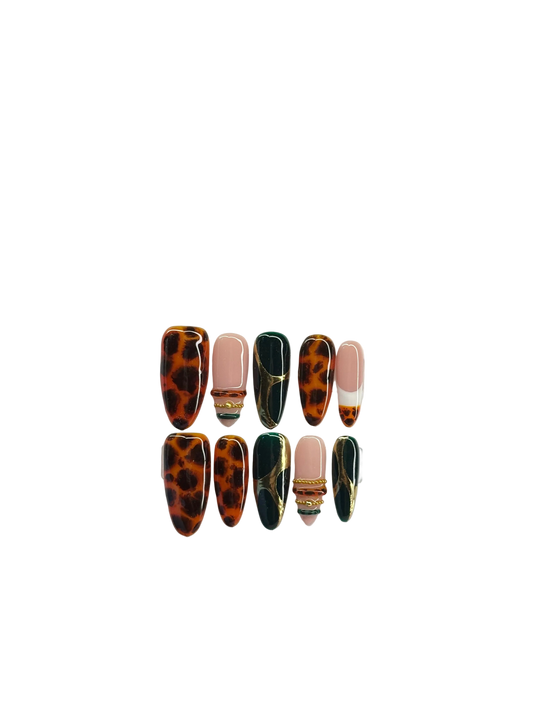 Tortoise shell with accents